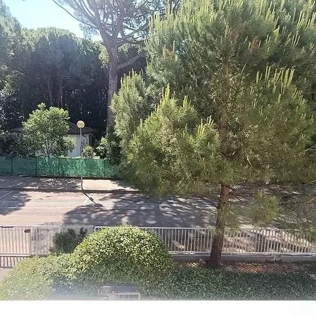 Apartamento In 25161 *